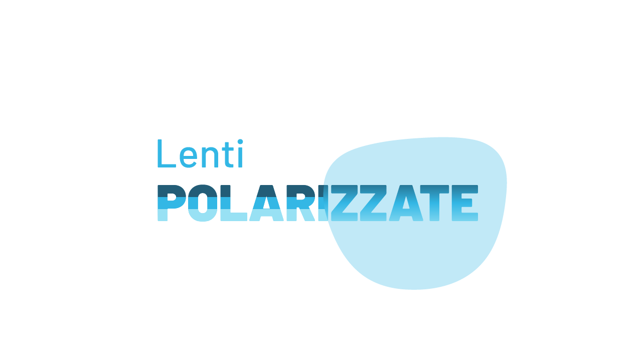 Lenti polarizzate